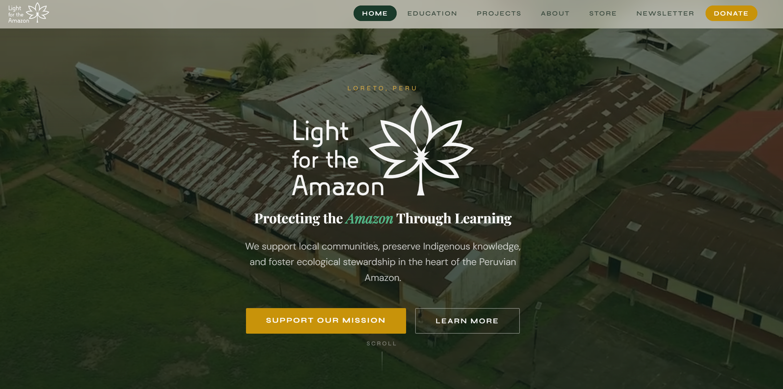 Light for the Amazon